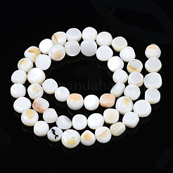 Natural Trochid Shell/Trochus Shell Beads Strands&nbsp;SHEL-S258-083-A01