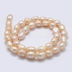 Natural Cultured Freshwater Pearl Beads Strands&nbsp;PEAR-K004-03B-01-X