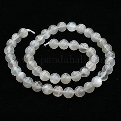 Natural White Moonstone Beads Strands&nbsp;G-J373-13-8mm