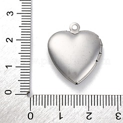 304 Stainless Steel Pendants&nbsp;STAS-S171-13P-09