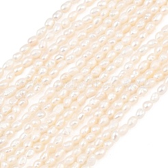 Natural Cultured Freshwater Pearl Beads Strands&nbsp;PEAR-D003-01D-02