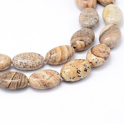 Natural Picture Jasper Flat Oval Bead Strands&nbsp;G-M206-24