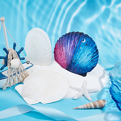 Natural Shell Painting Accessories&nbsp;DIY-WH0225-95