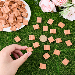 200Pcs Argil Display Decorations&nbsp;DJEW-FH0001-60A-01