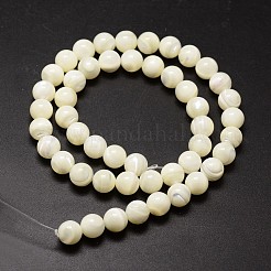 Natural Shell Beads Strands&nbsp;X-SSHEL-E571-39-4mm