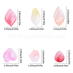 30Pcs 6 Styles Baking Paint Transparent Glass Petal Beads&nbsp;DGLA-YW0001-33