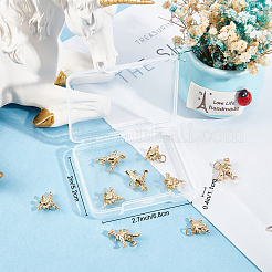 10Pcs 2 Style Rack Plating Brass Pendants&nbsp;KK-BBC0004-61