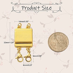 Zinc Alloy Box Magnetic Clasps Converter&nbsp;PALLOY-C159-01LG