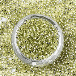 Glass Seed Beads&nbsp;X-SEED-S042-04A-02