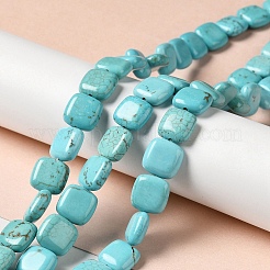 Natural Howlite Beads Strands&nbsp;G-C025-13