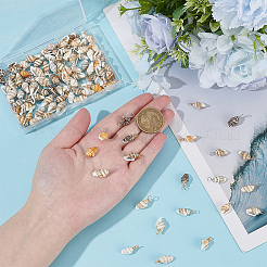120Pcs 2 Colors Natural Shell Pendants&nbsp;FIND-ME0002-50