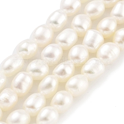 Natural Keshi Pearl Cultured Freshwater Pearl Beads Strands&nbsp;PEAR-P062-25D