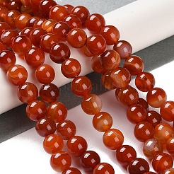 Natural Striped Agate/Banded Agate Beads Strands&nbsp;X-G-Z060-A01-B05