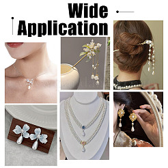 60Pcs 4 Styles Shell Pearl Beads&nbsp;BSHE-NB0001-35