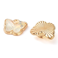 Rack Plating Alloy Glass Charms&nbsp;FIND-Q099-07G-07