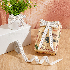10 Yards Printed Ruler Polyester Ribbon&nbsp;OCOR-WH0070-147