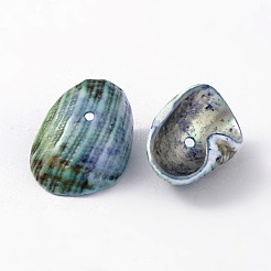 Natural Sea Shell Beads&nbsp;BSHE-S002-1