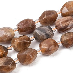 Natural Black Sunstone Beads Strands&nbsp;G-Z147-E06-01