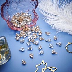 Alloy Clear Cubic Zirconia Charms&nbsp;ZIRC-PH0001-07