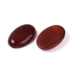 Natural Red Agate(Dyed & Heated) Cabochons&nbsp;G-N361-05B-05