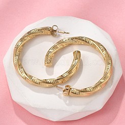 304 Stainless Steel Twist C-Shaped Stud Earrings&nbsp;EJEW-V016-09G-02