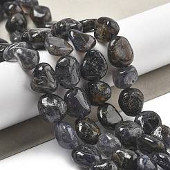 Natural Iolite Beads Strands&nbsp;G-C179-F06-01