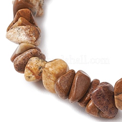 Natural Picture Jasper Beads Stretch Bracelets for Men Women&nbsp;BJEW-JB11845