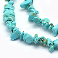 Synthetic Turquoise Beads Strands&nbsp;G-P332-24B