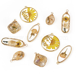 10Pcs 5 Styles Epoxy Resin Pendants&nbsp;FIND-TA0008-97