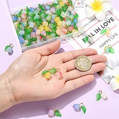 90Pcs 9 Colors Acrylic Charms&nbsp;PALLOY-YW00152