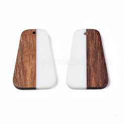 Resin & Wood Pendants&nbsp;RESI-N025-021