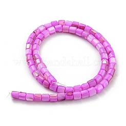 Natural Freshwater Shell Beads Strands&nbsp;SHEL-F008-04