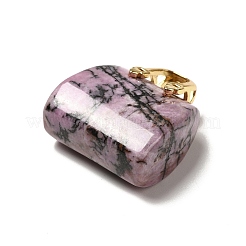 Natural Rhodonite Brass Pendants&nbsp;KK-E274-01G-21