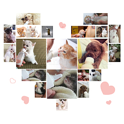 Plastic Refillable Pet Nursing Bottle&nbsp;CON-WH0062-17
