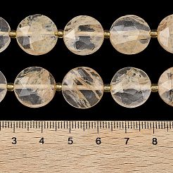 Coffee Watermelon Stone Glass Beads Strands&nbsp;G-A292-A04-01