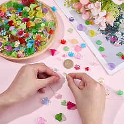 300Pcs 6 Styles Spray Paint ABS Plastic Imitation Pearl Bead Caps&nbsp;MACR-SC0002-75