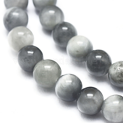 Natura Hawk's Eye Beads Strands&nbsp;G-D0001-22C-10mm