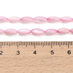 Natural Freshwater Shell Beads Strands&nbsp;SHEL-C010-01E