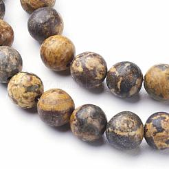 Natural Gemstone Leopard Skin Jasper Round Beads Strands&nbsp;G-A130-2mm-24