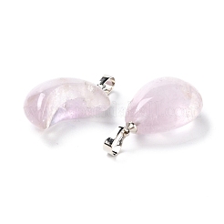 Natural Amethyst Pendants&nbsp;G-P461-03