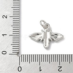 Insect Themes Brass Enamel Pendants&nbsp;KK-B155-01A-02P