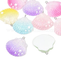 Transparent Resin Pendants&nbsp;RESI-P049-02A-P