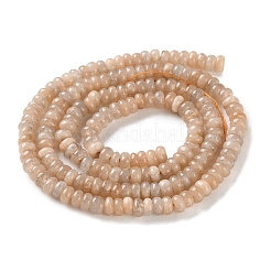 Natural Sunstone Beads Strands&nbsp;G-K343-C35-01