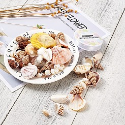 Mixed Shell Beads&nbsp;BSHE-TA0002-05