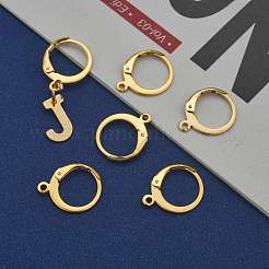 304 Stainless Steel Leverback Earring Findings&nbsp;X-STAS-P210-30G