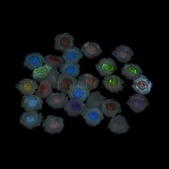 Luminous Resin Decoden Cabochons&nbsp;RESI-K036-06K