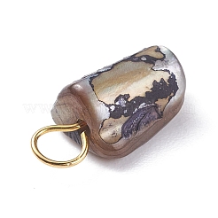 Natural Dyed Shell Charms&nbsp;PALLOY-JF01339-04