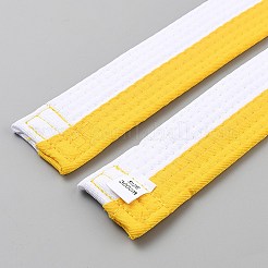 Taekwondo Belt&nbsp;AJEW-WH20022-73E-04