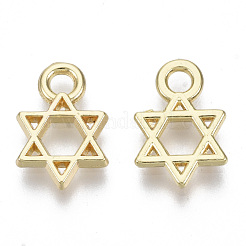 Alloy Charms&nbsp;PALLOY-S132-084