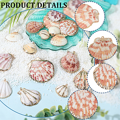 32Pcs 8 Styles Electroplated Natural Mixed Shell Pendants&nbsp;SSHEL-SC0001-62D